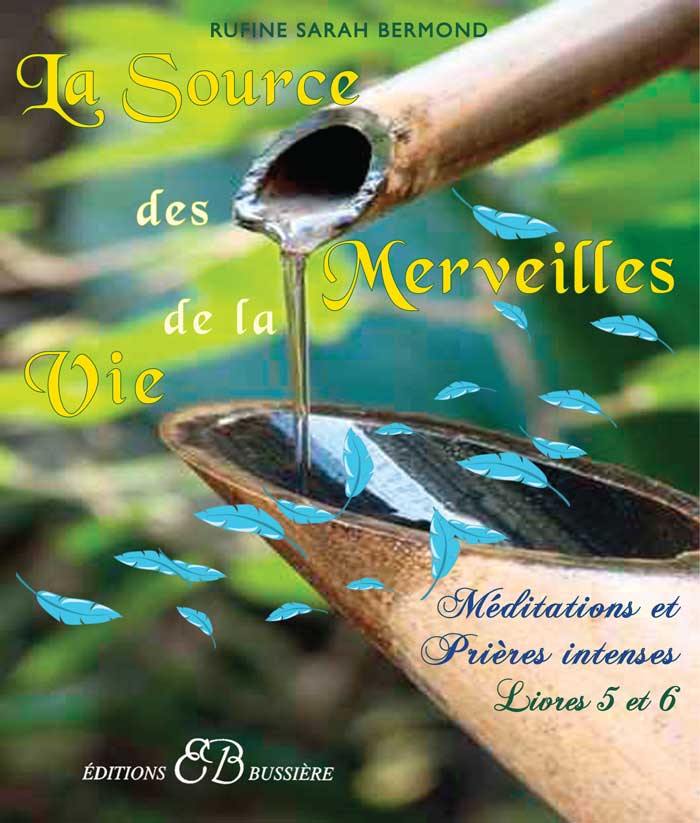LA SOURCE DES MERVEILLES DE LA VIE - Méditations et prières intenses livres 5 et 6